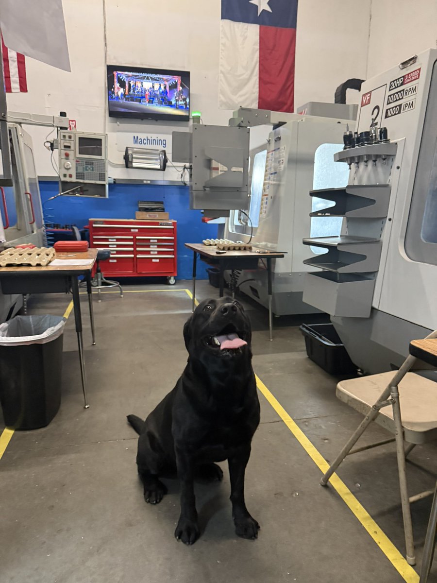 Sebastian tweet media