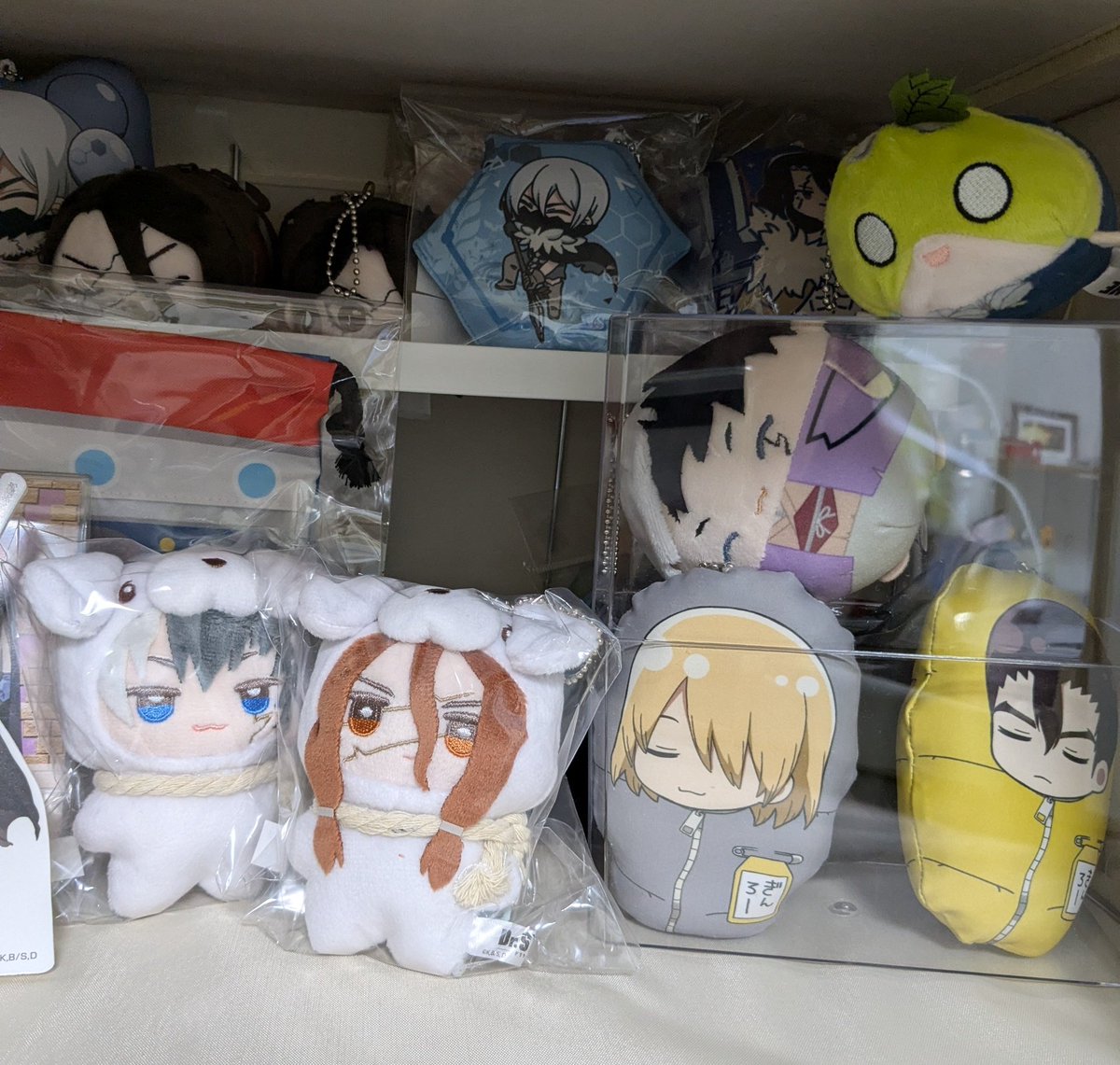 Post by まつ on X: うちのこにおなり