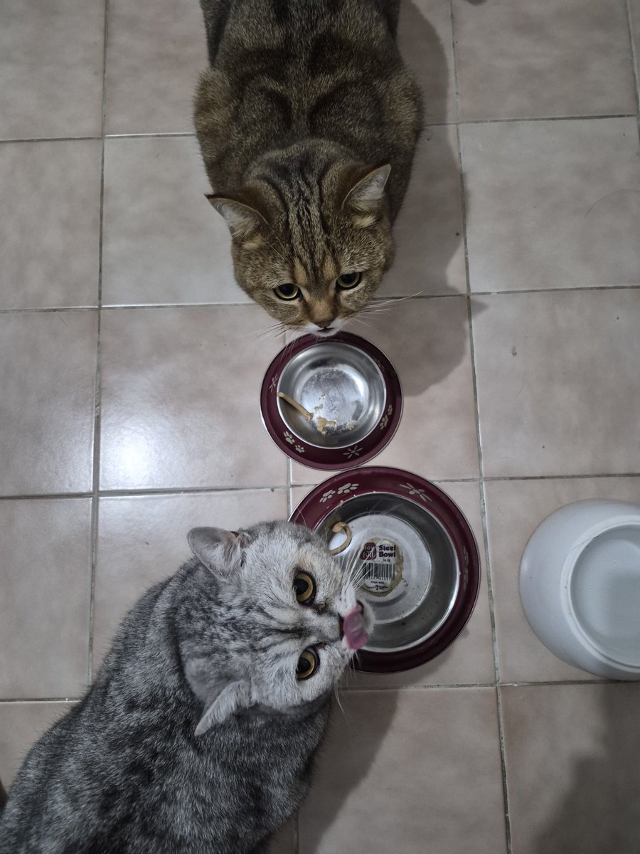 Mecbur beraber sahur yapıyoruz