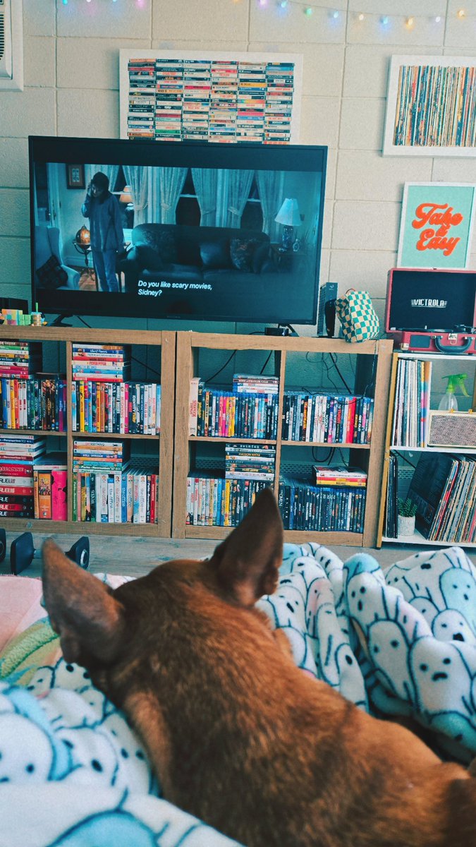 𝘚𝘜𝘗𝘙𝘌𝘔𝘌 𝙃𝙊𝙍𝙍𝙊𝙍 tweet media