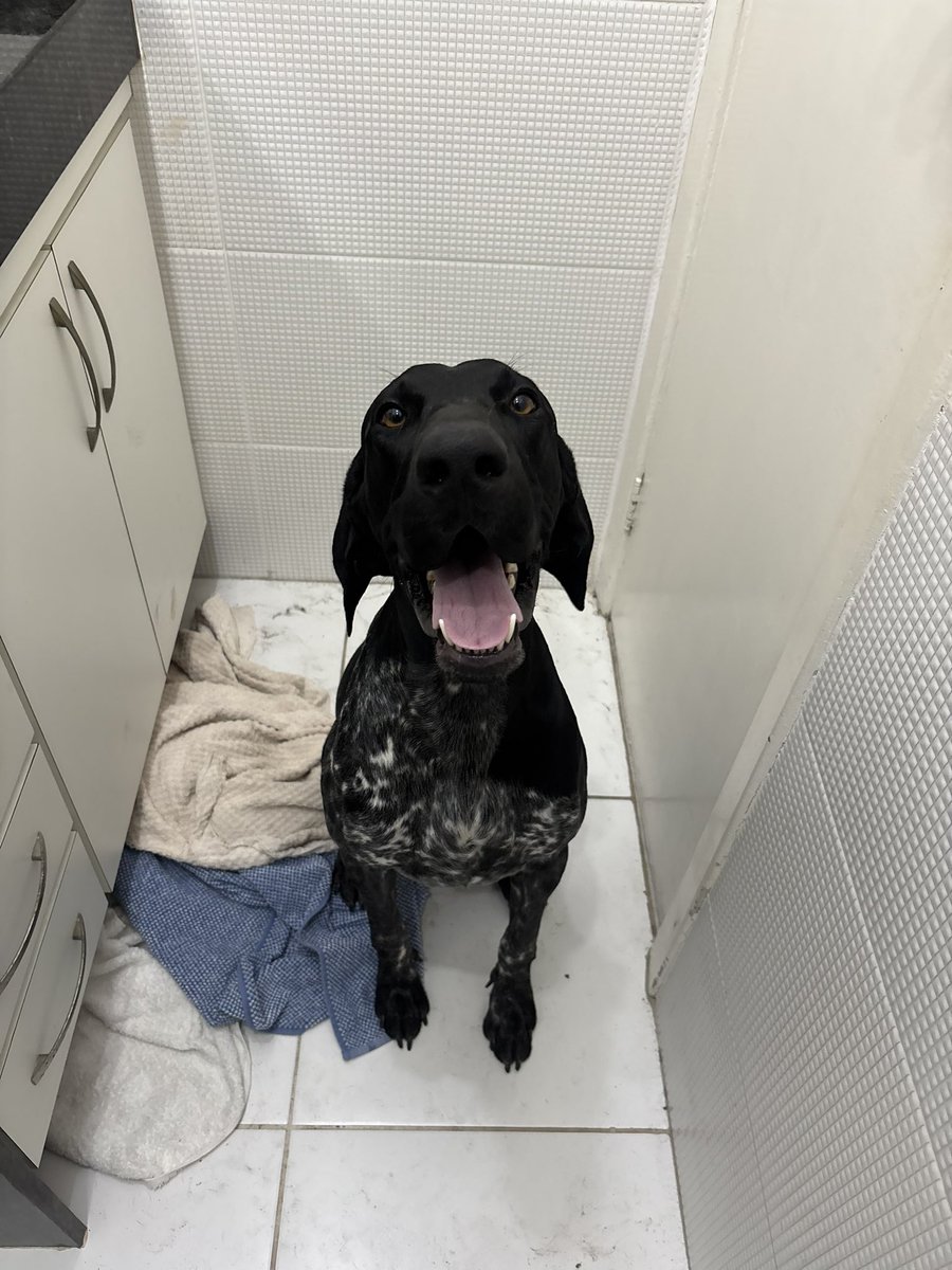 there is a GSP in my bathroom