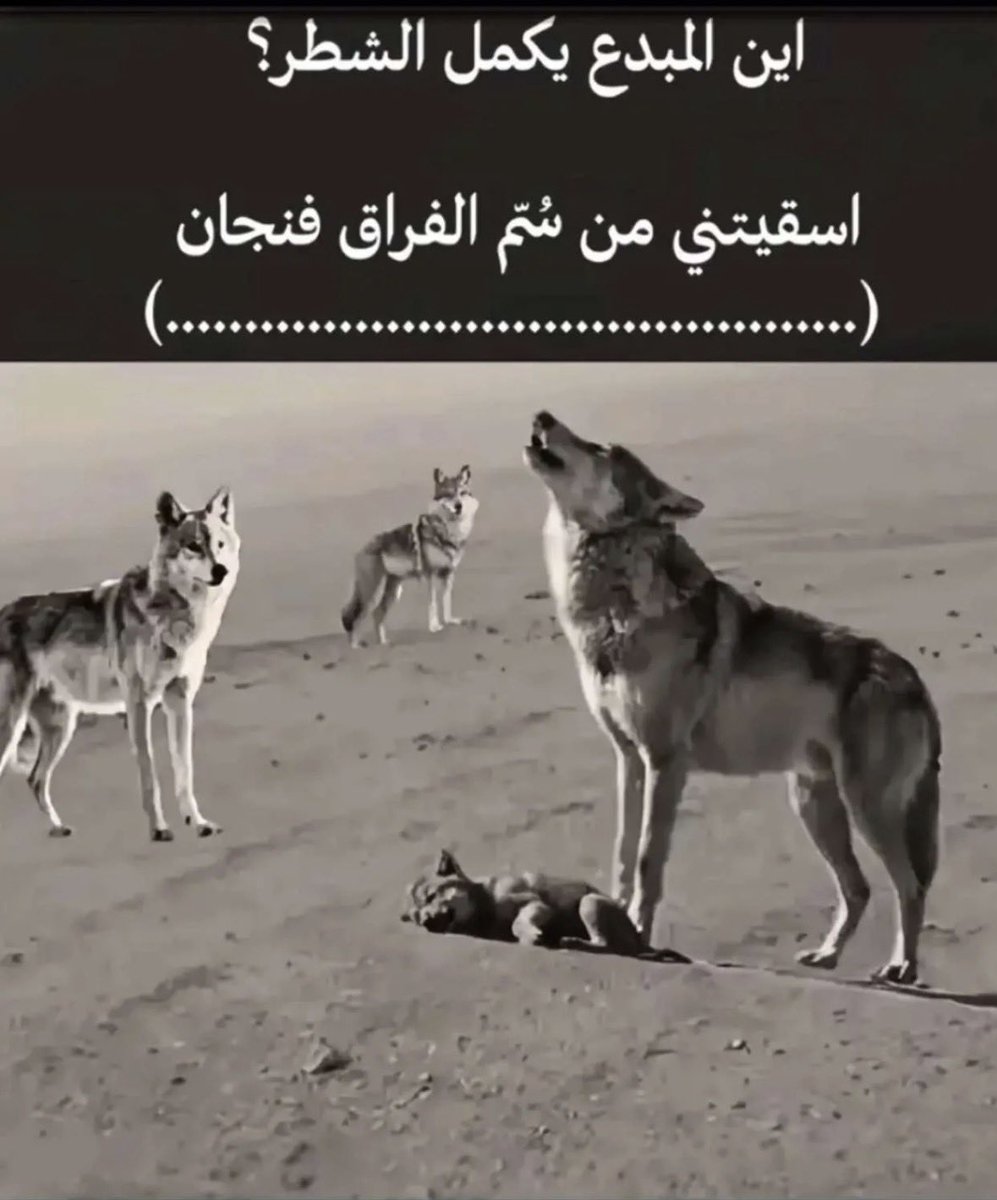 SAHALOTB's tweet photo. وينهم المبدعين 🤍 https://t.co/55kLCpOADs