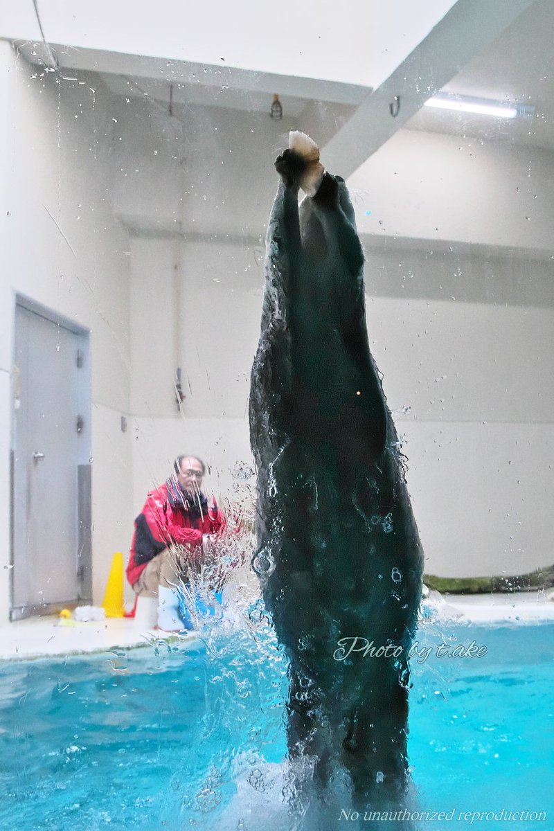 しりうすさん／ t.ake tweet media