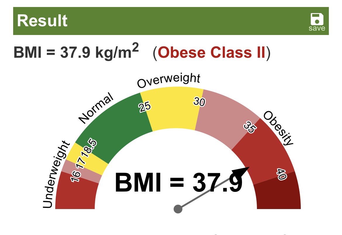 Ferngullicious / Stal459, NSFW tweet media