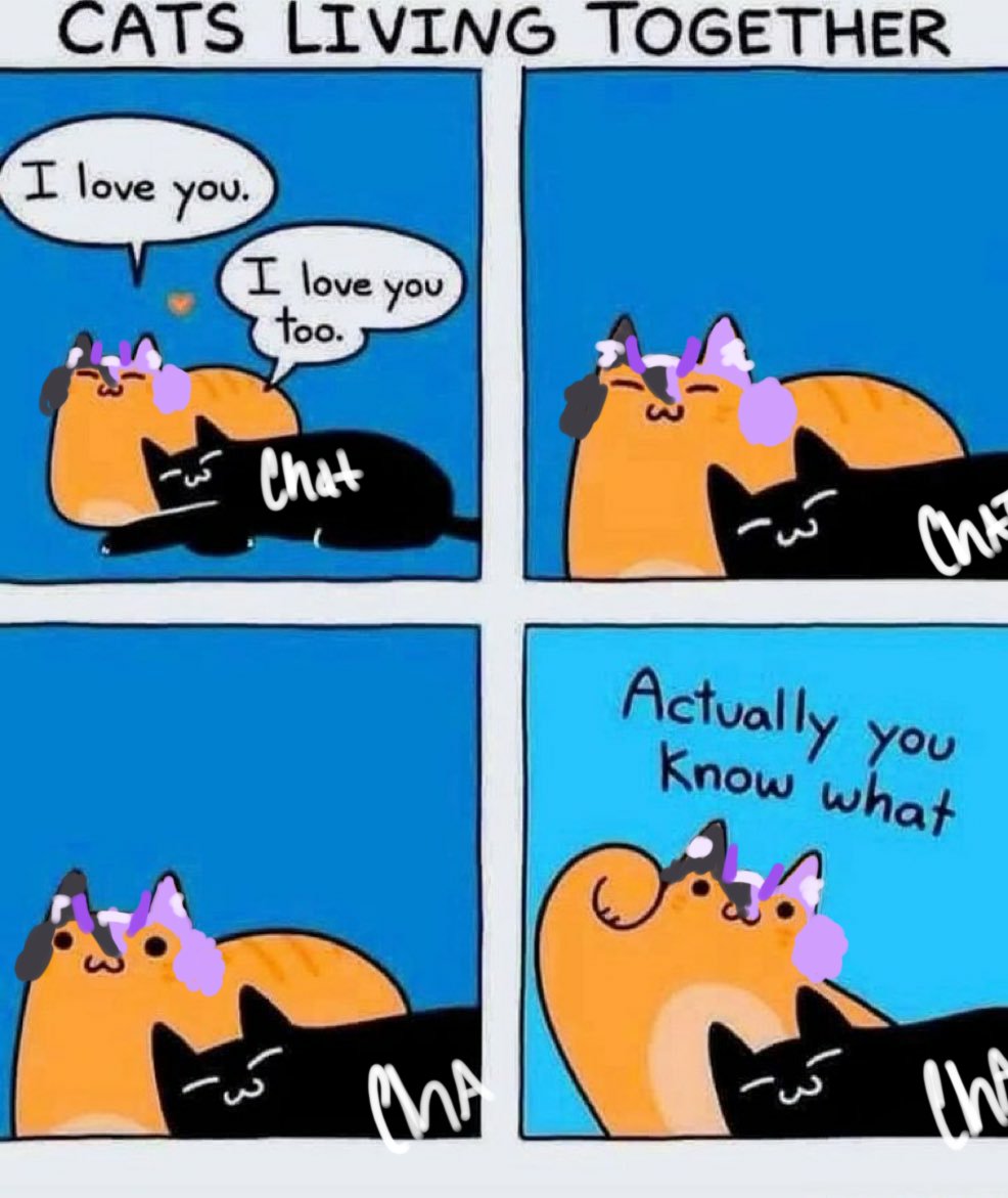 Kai Kat 🐱💜 | VTuber ♡ (@kaikatvt) on Twitter photo 