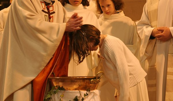 Hillbilly Catholic tweet media