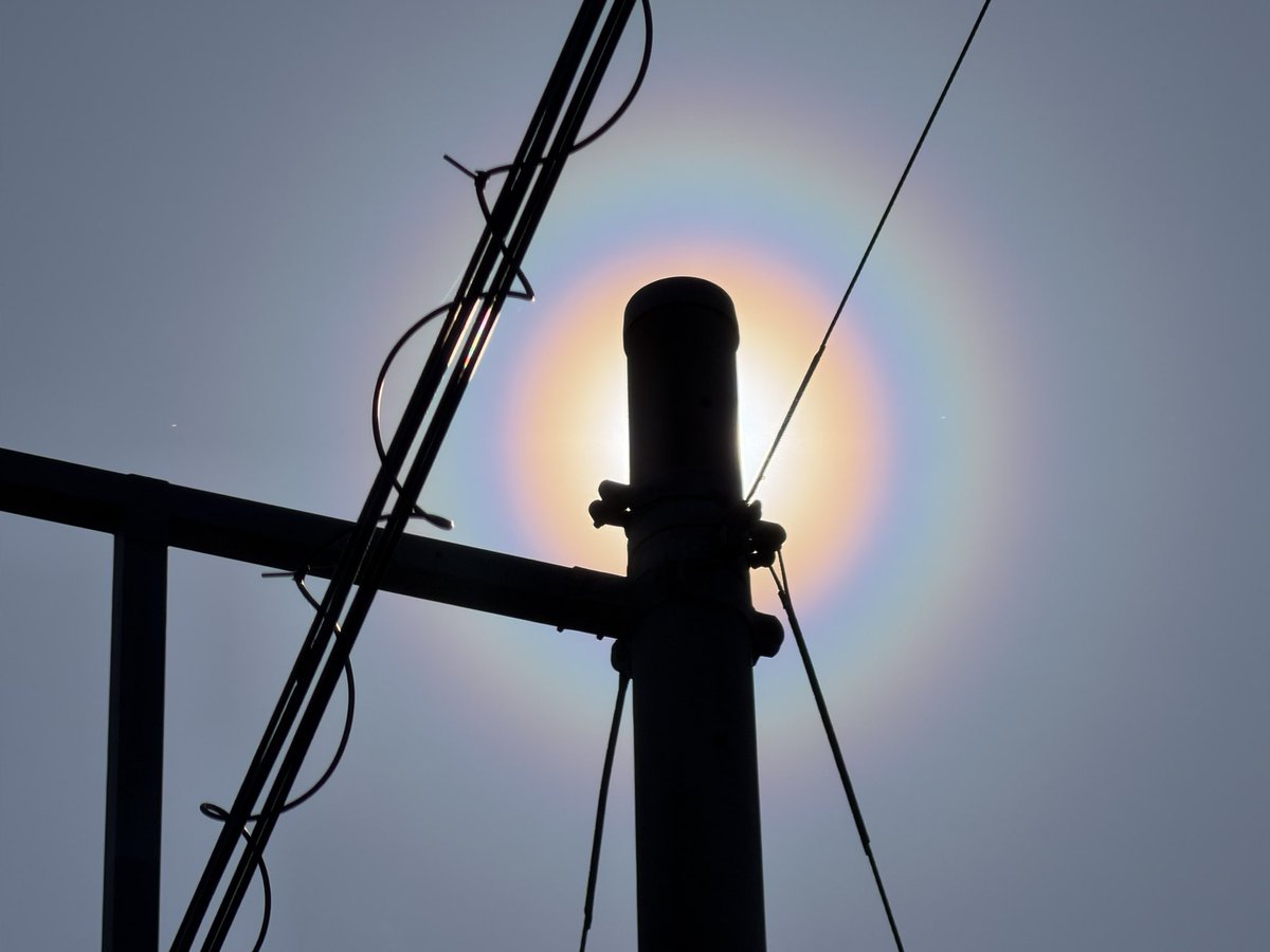 今日はやっぱりすごかったわ🤧
10:30 つくば市
#花粉光環