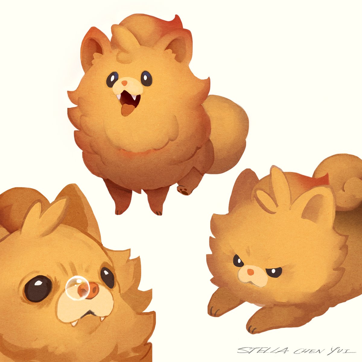 Ponbon ✨
#PokemonWindsWaves