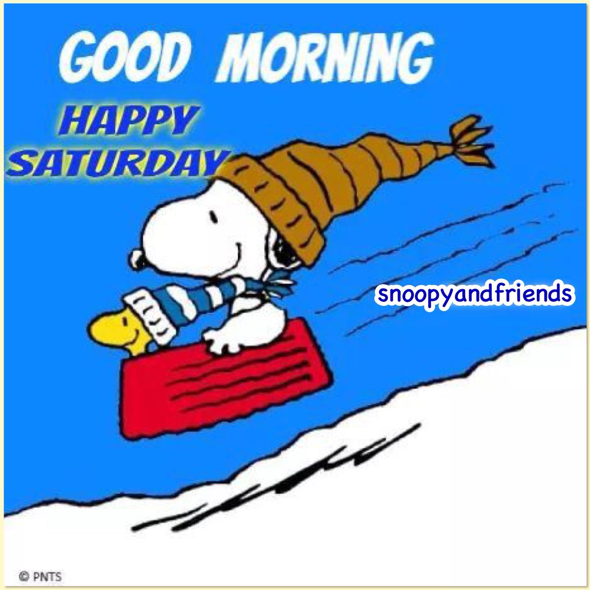 snoopy and friends tweet media