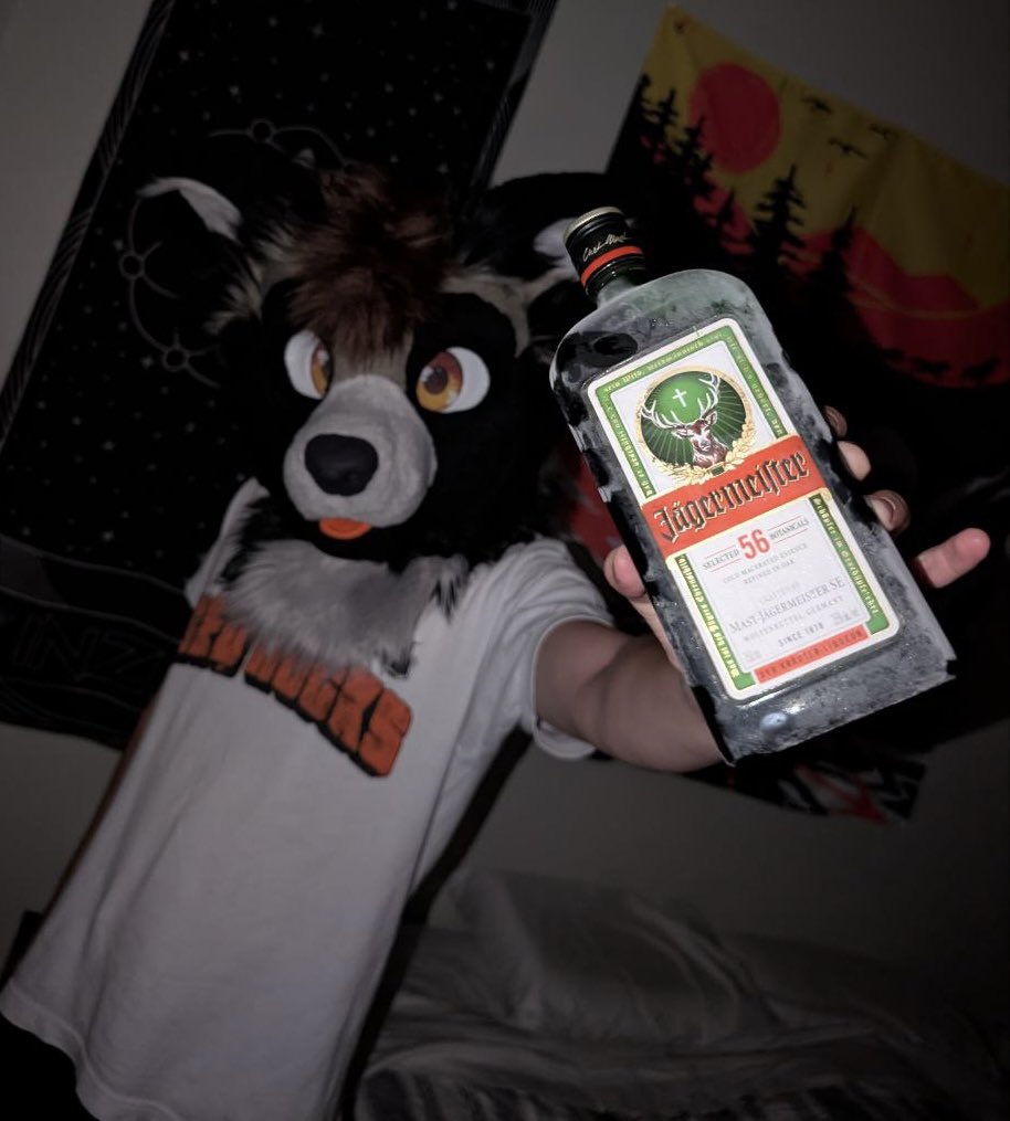 Envy 🔜 LVFC tweet media