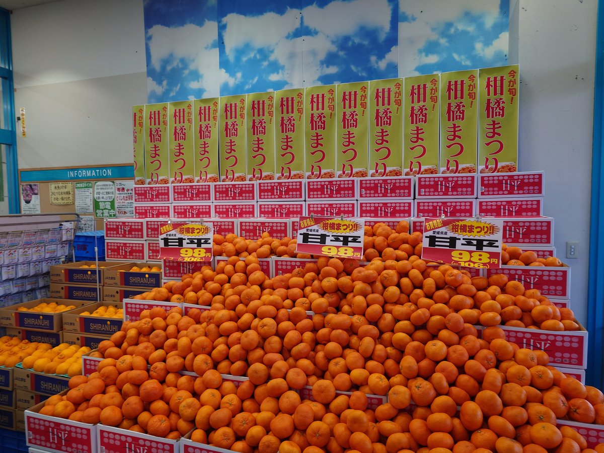 hapy_808's tweet photo. 愛媛県より　
あま〜い「甘平」　大量入荷しました‼️
いつもはお高い柑橘が今年は豊作です。
今がチャンスです！
明日まで９８円で販売します。
どうぞお早めにご利用ください😊
＃ハピーのやおや
＃やおやのおじさん
＃ハピー
＃糸魚川 https://t.co/PQz1SNxmkH