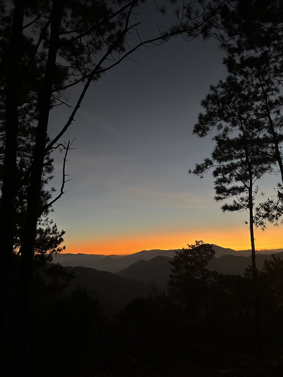 micah ditoy tweet media