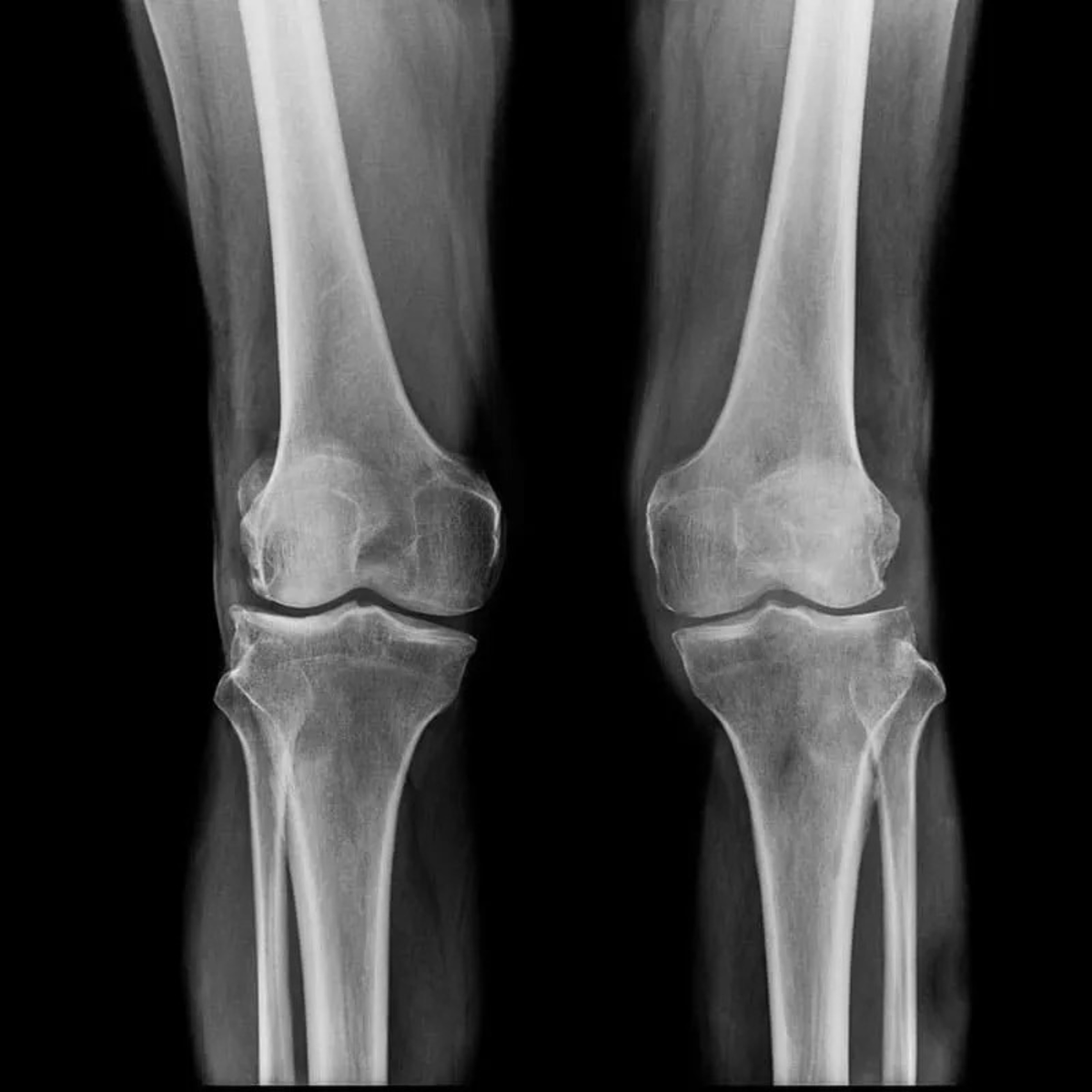 Meredith Turner tweet media