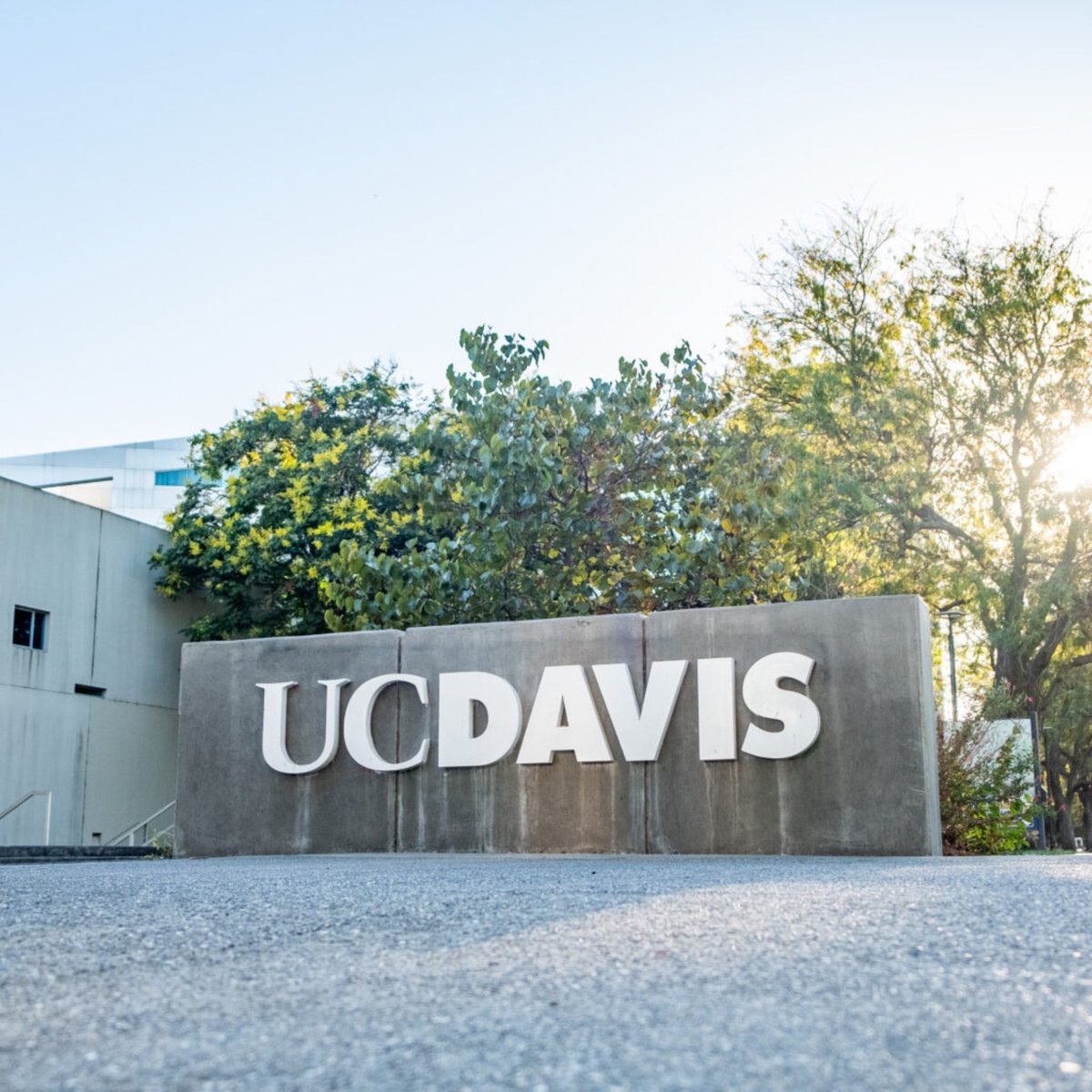 Meredith Turner tweet media