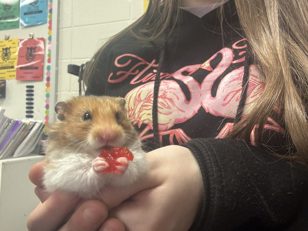 Brittney Green tweet media