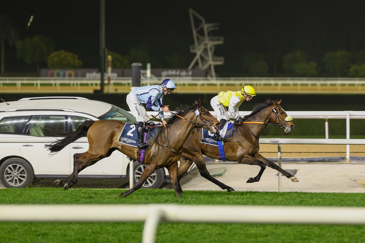 m.a.orfe2012.2013 tweet media