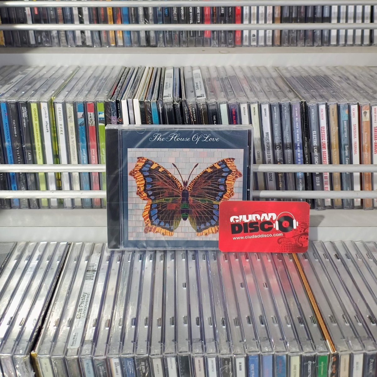 <a href="/CiudadDisco/">CIUDAD DISCO</a> 
Jr. Jose Galvez Nº 435, Tda. 253 (2do. Piso)
C.C. Malena (Boulevard)
Magdalena del Mar

*Siguenos en:*
facebook.com/CIUDADDISCO
instagram.com/CIUDADDISCO
X.com/CIUDADDISCO
tiktok.com/@ciudaddisco
ciudaddisco.com