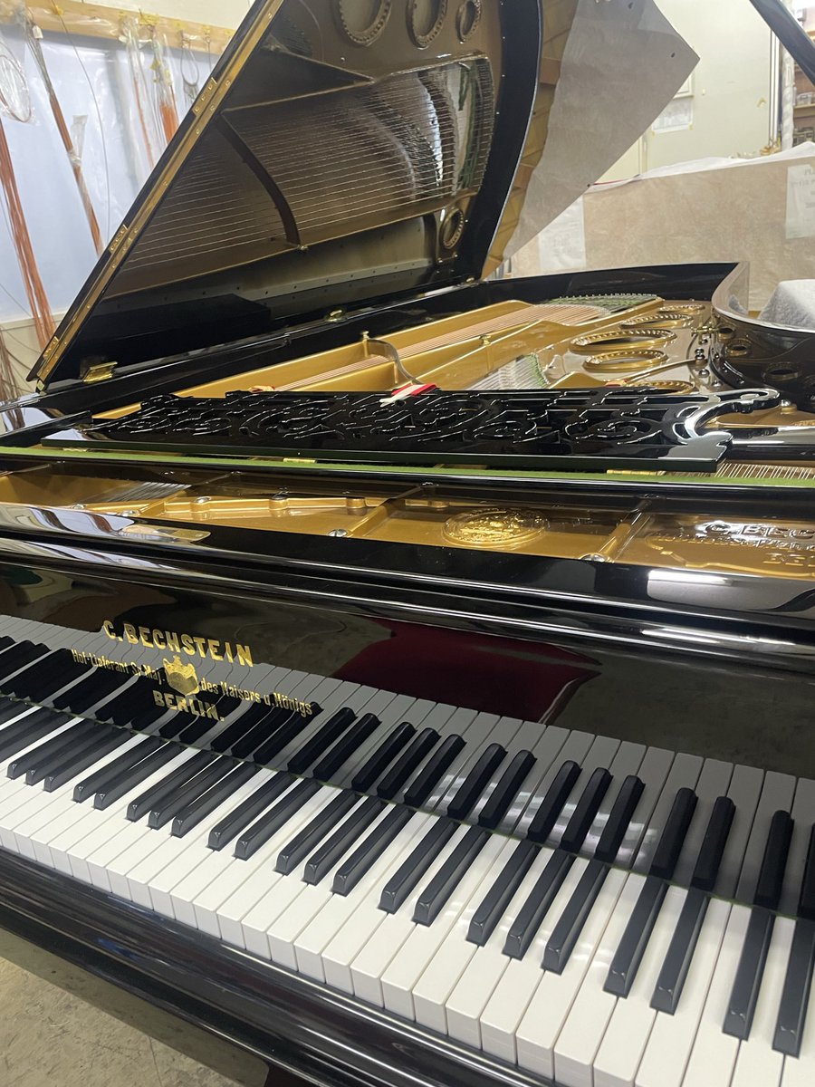 ベヒシュタイン・セントラム東京 tweet media