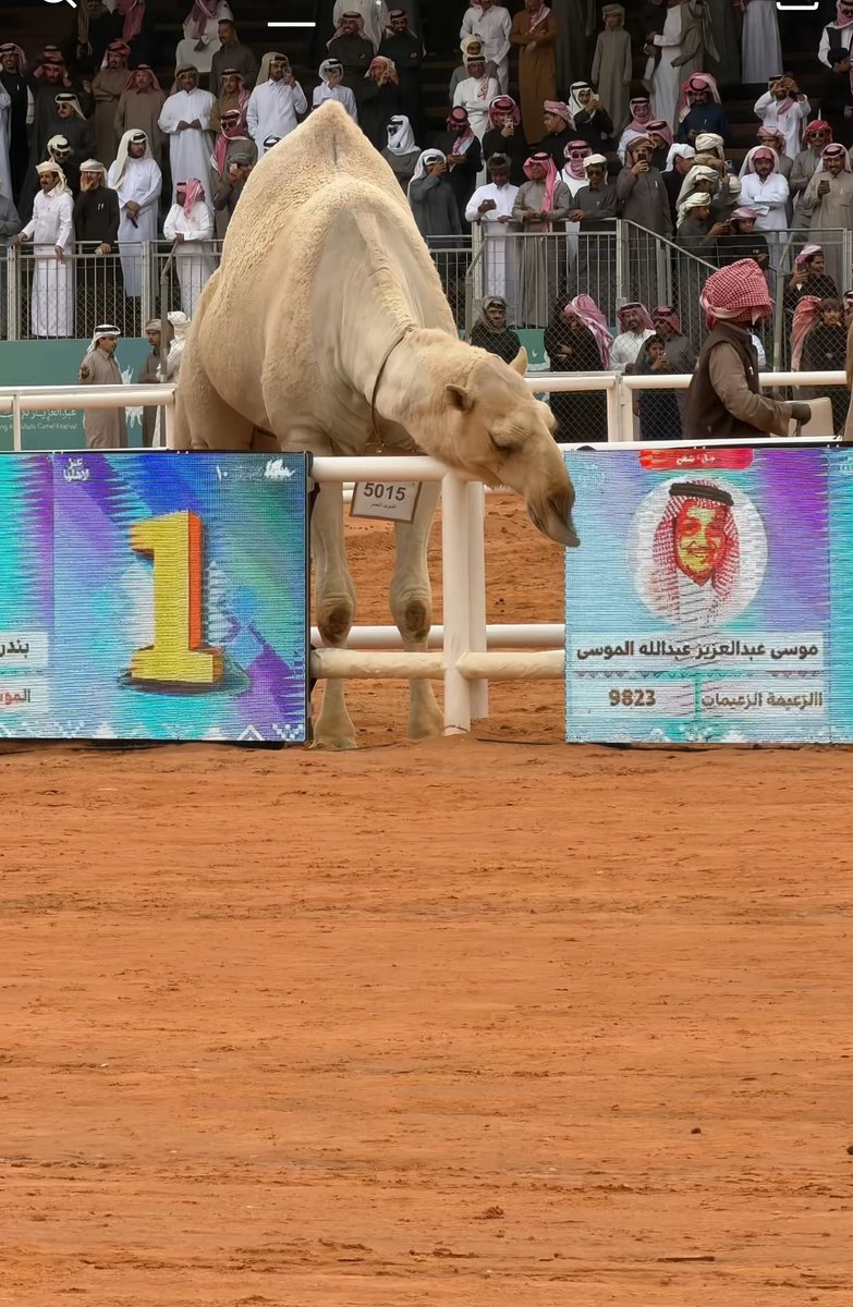 Bandar AlQahtani tweet media