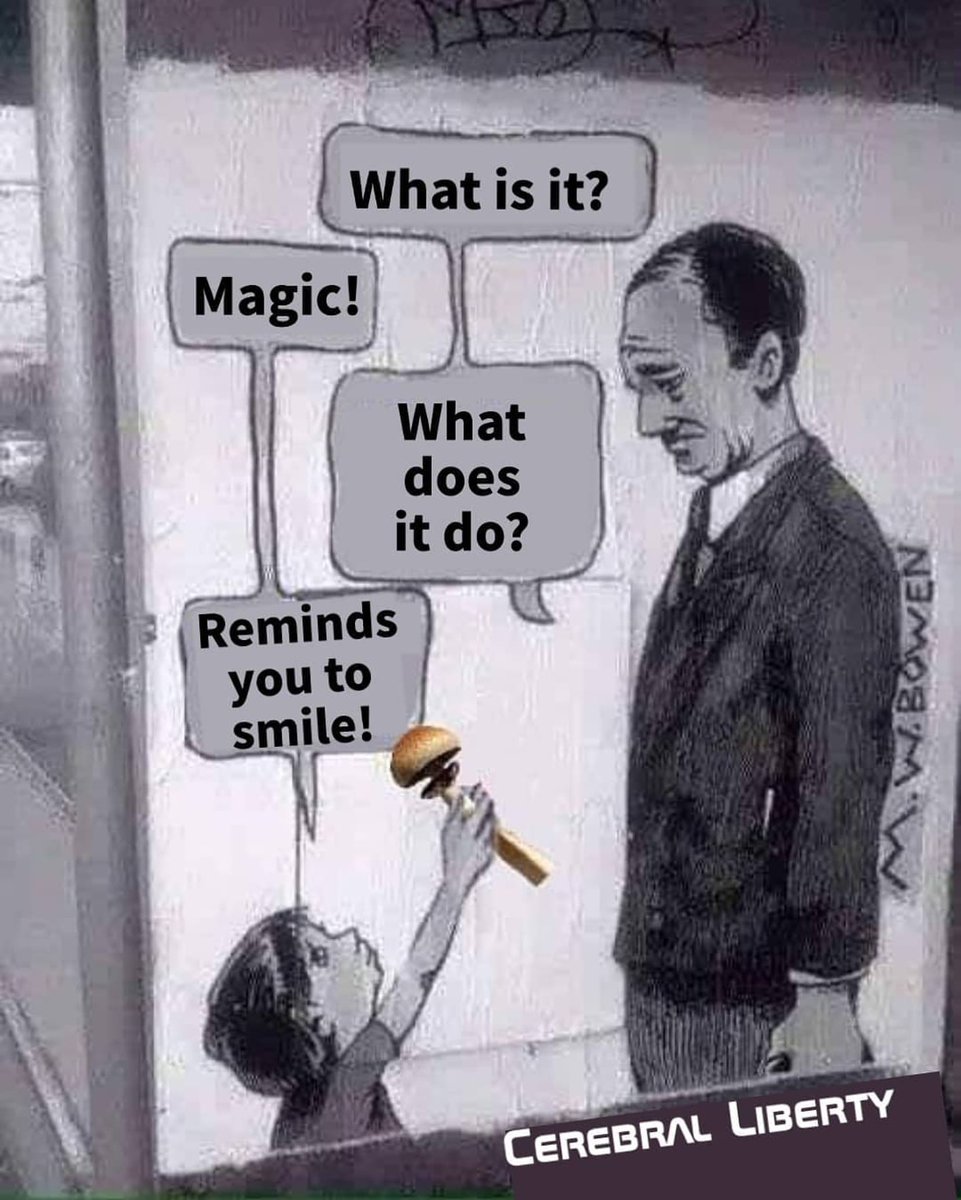 0xQuasark's tweet photo. What magic mushrooms really do ❤️ https://t.co/WYppBMwKwR
