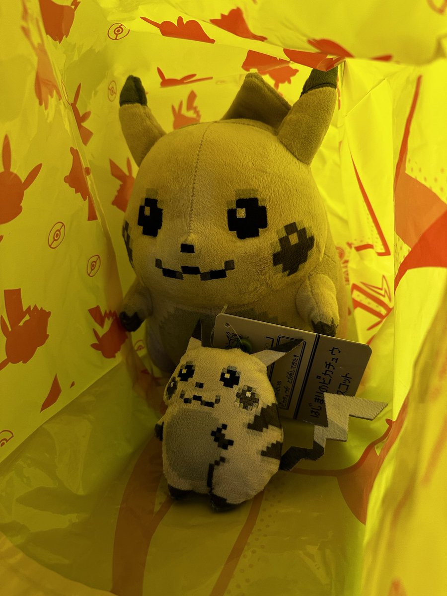 cross_patchist's tweet photo. おれたちの　30しゅうねんが　はじまる！
#ポケモン30周年 https://t.co/M3ebjFN5Dm
