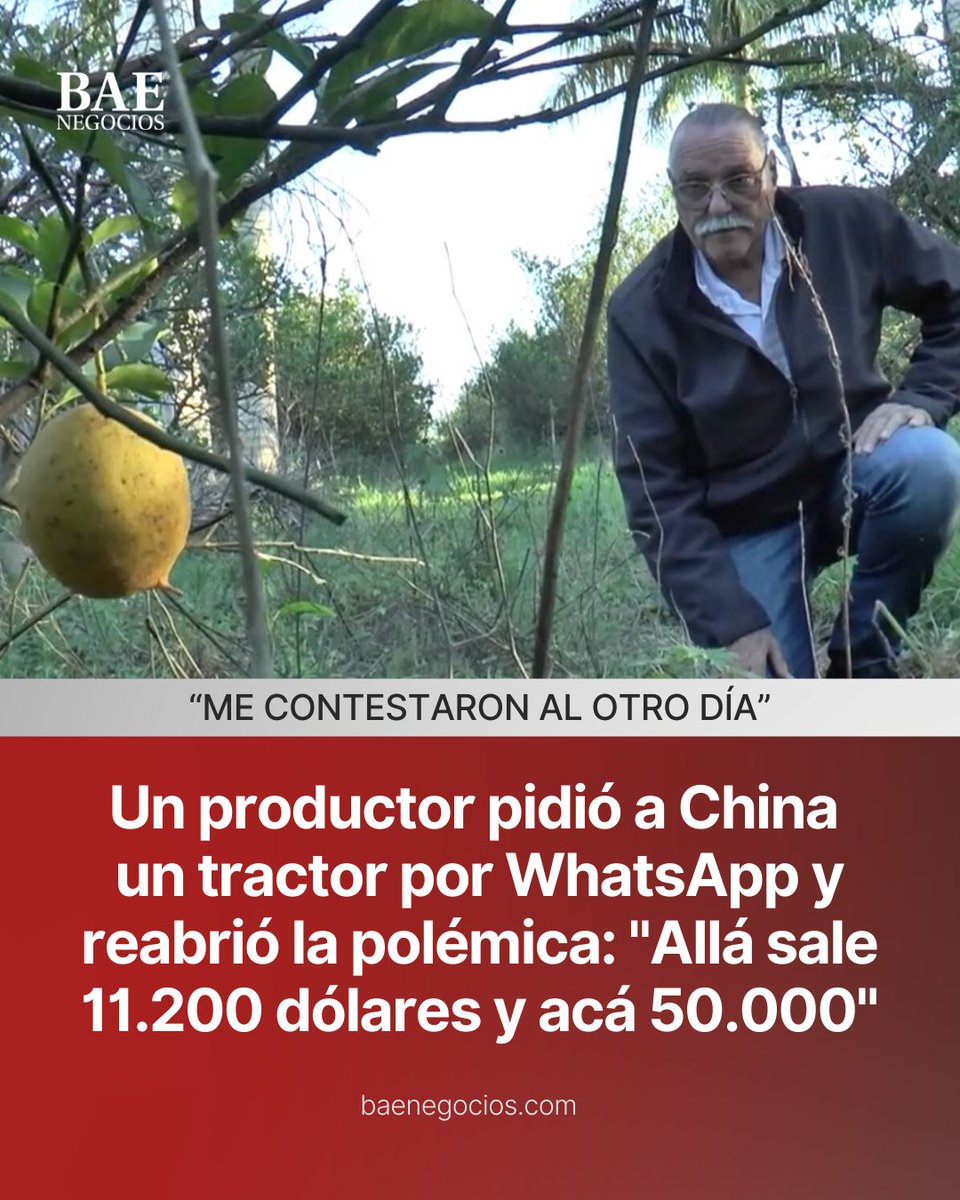 👽Bornoroni Gobernador🟣🟡 Milei 2027 tweet media