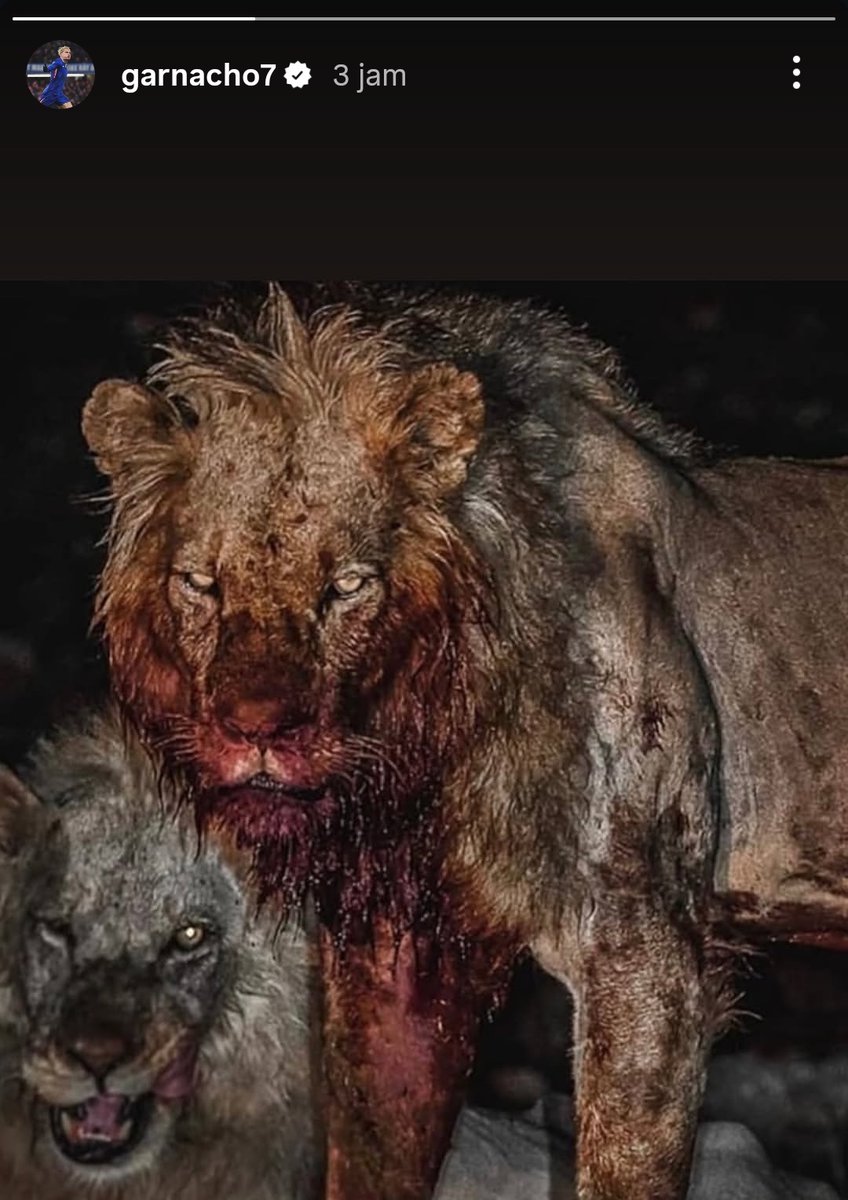 FaktaBola tweet media