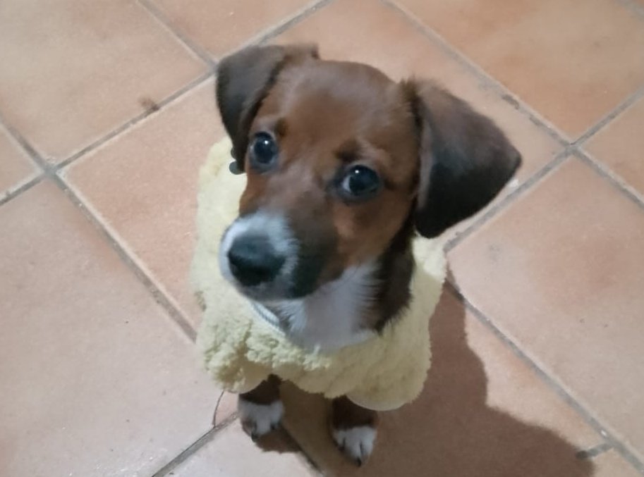 sann do hyunjin careca ⚢ caitvi tweet media