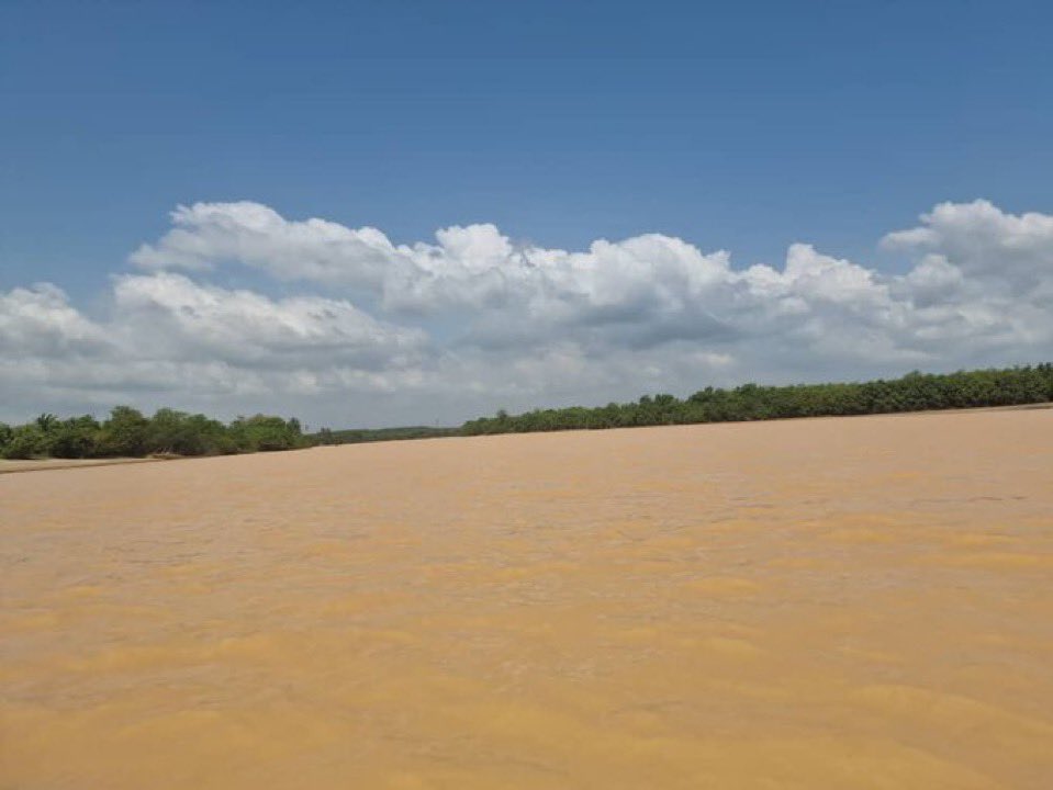 Our rivers and forests need our help. Make we fight galamsey with all our strength! #StopGalamseyNow