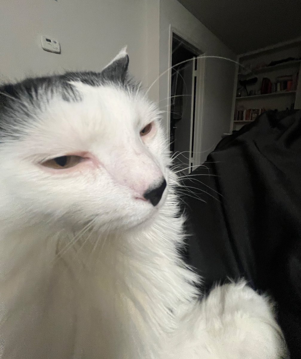 Adolfo viendo que está sospechoso tanto incendio