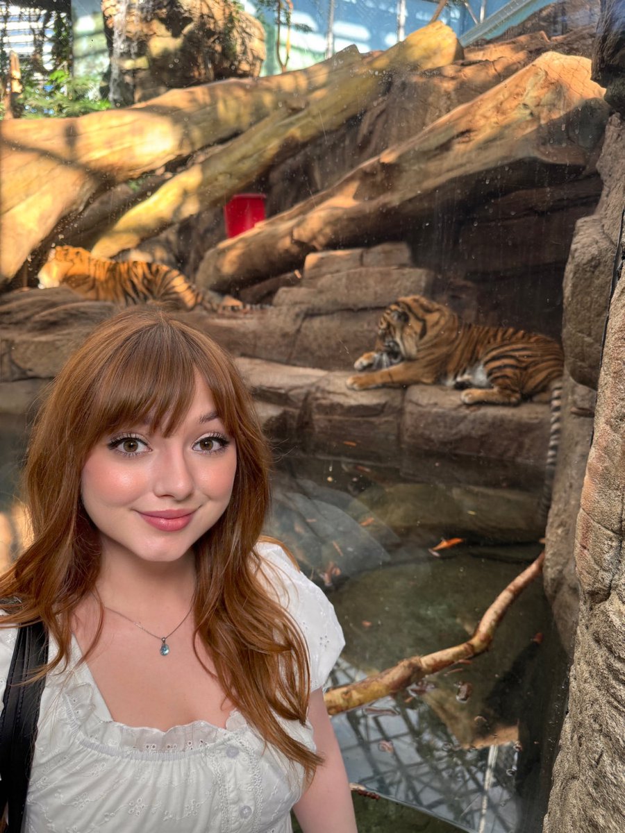 🌱 Sprout tweet media