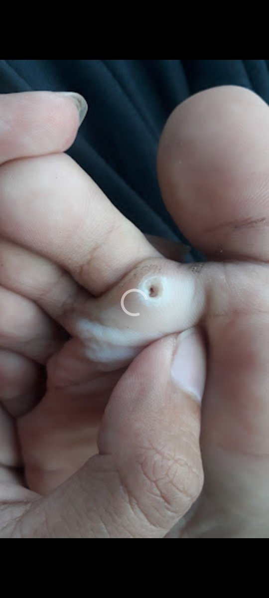 paldi anti judi tweet media