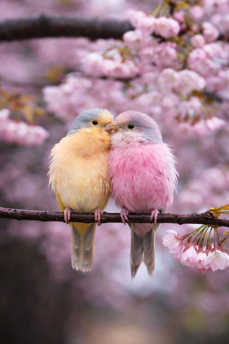 Good Morning Everyone
I pray we find Grace today🙏🙏