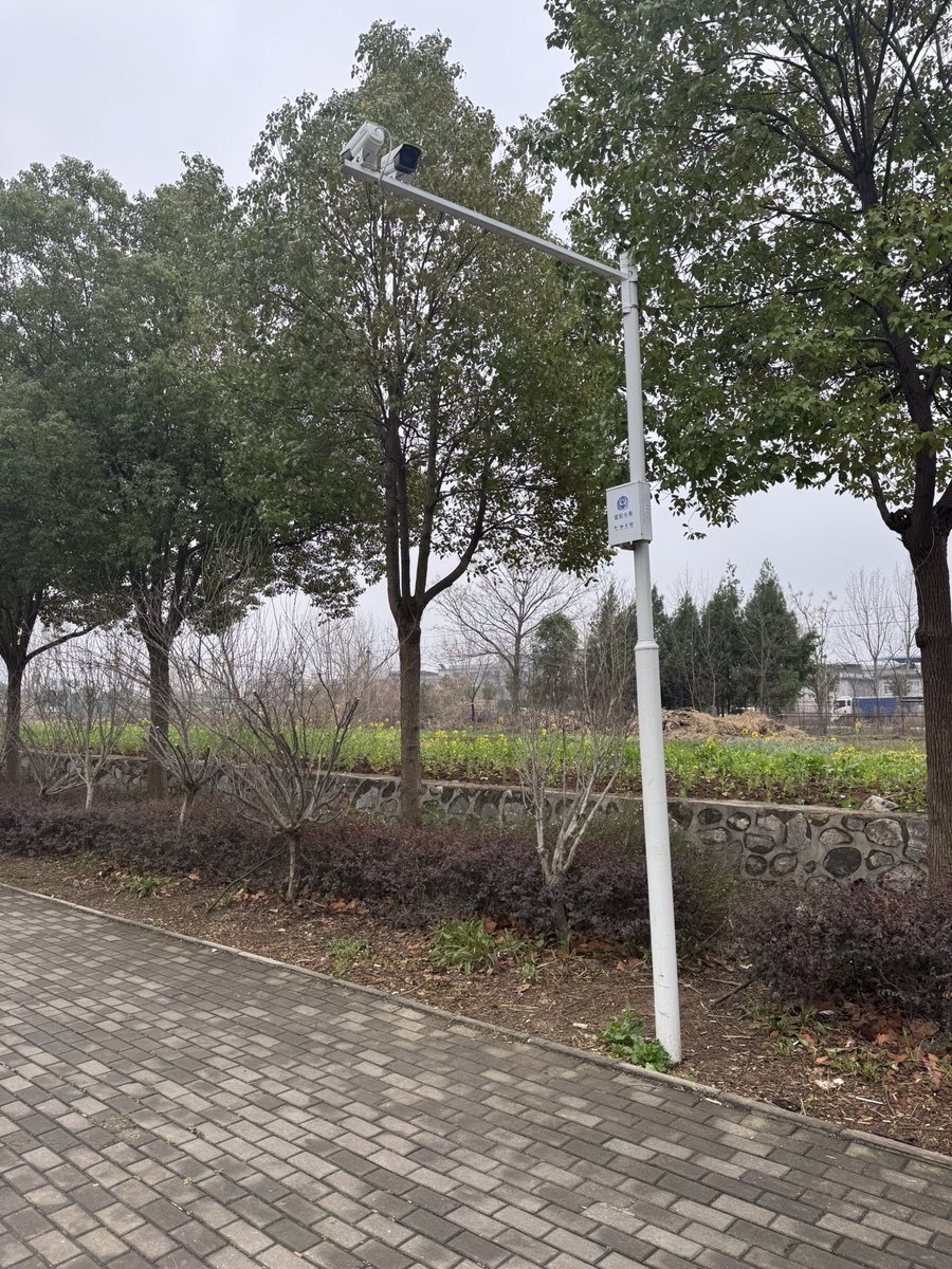 wangayyya's tweet photo. 0377 藏好了 欢迎寻宝 这一份是推友专属 https://t.co/YTma8ZcORQ