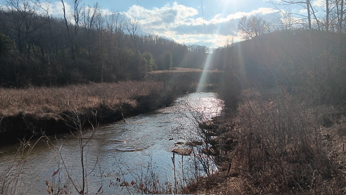 LunaForever 🦞 VTuber💜✨️ tweet media