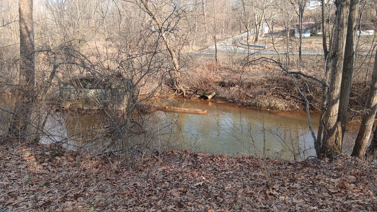 LunaForever 🦞 VTuber💜✨️ tweet media