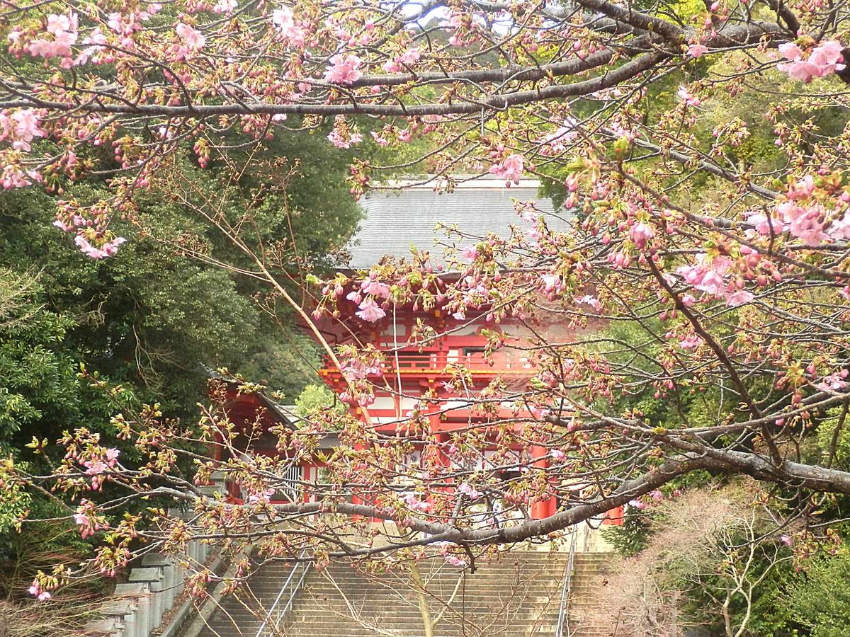 近江神宮 tweet media