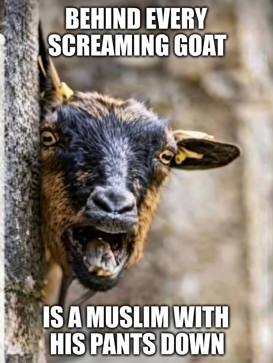 I can’t stop laughing 🤣😂