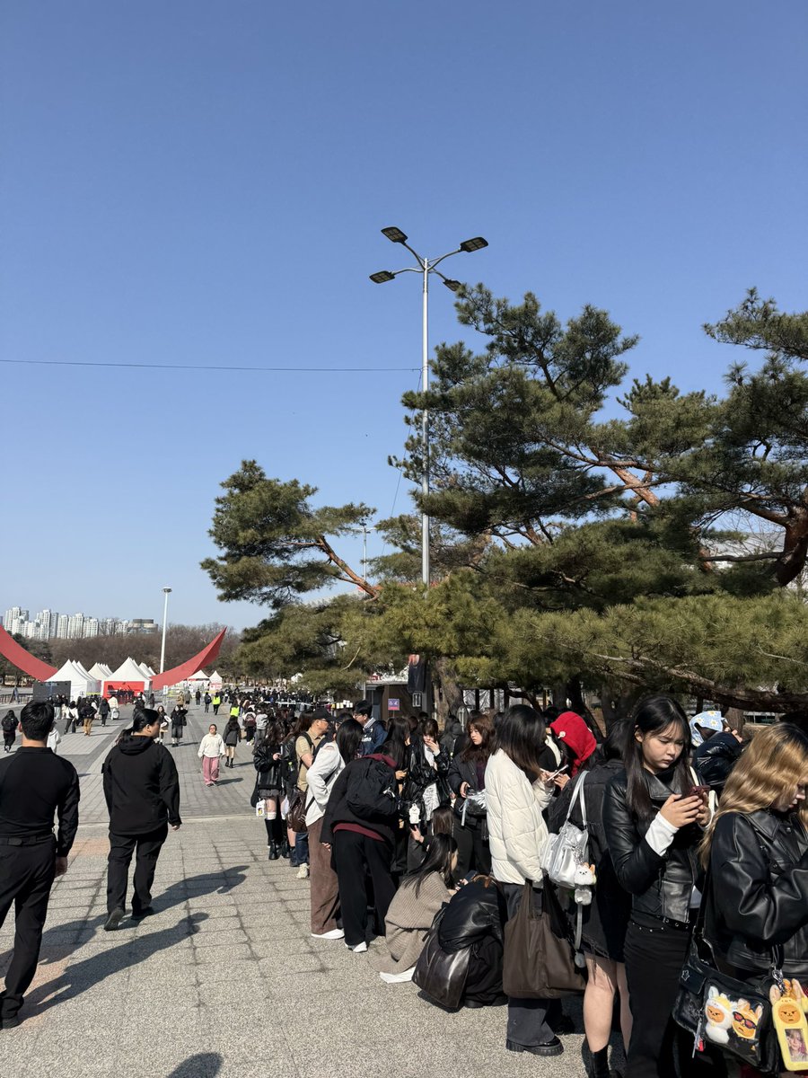 めんま🐶 tweet media