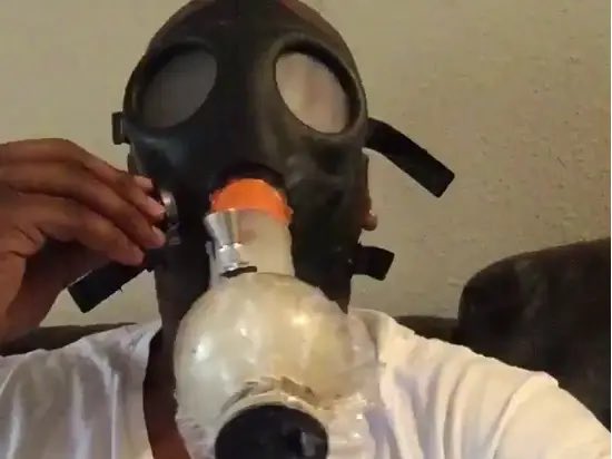 MayeIsKing tweet media