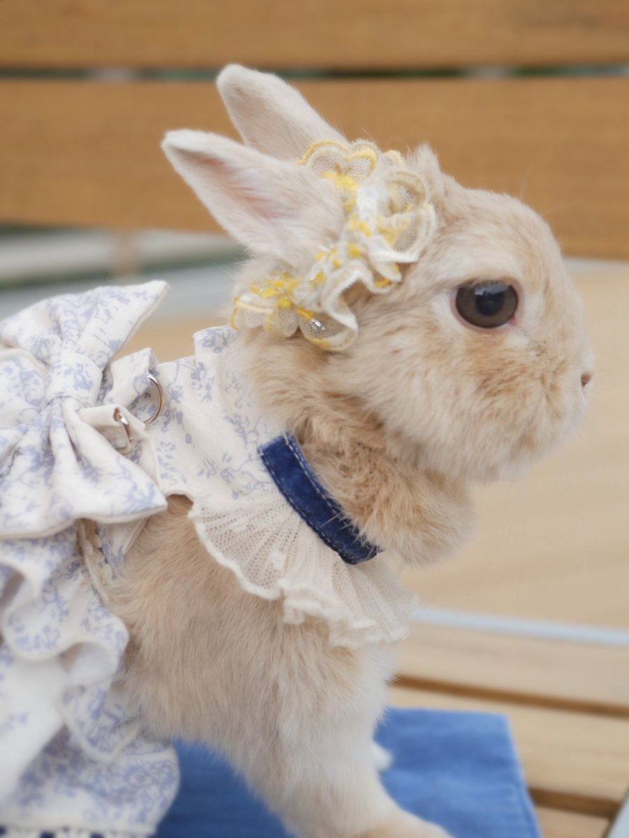 ひのきや Hinokiya♡何でも手編み tweet media