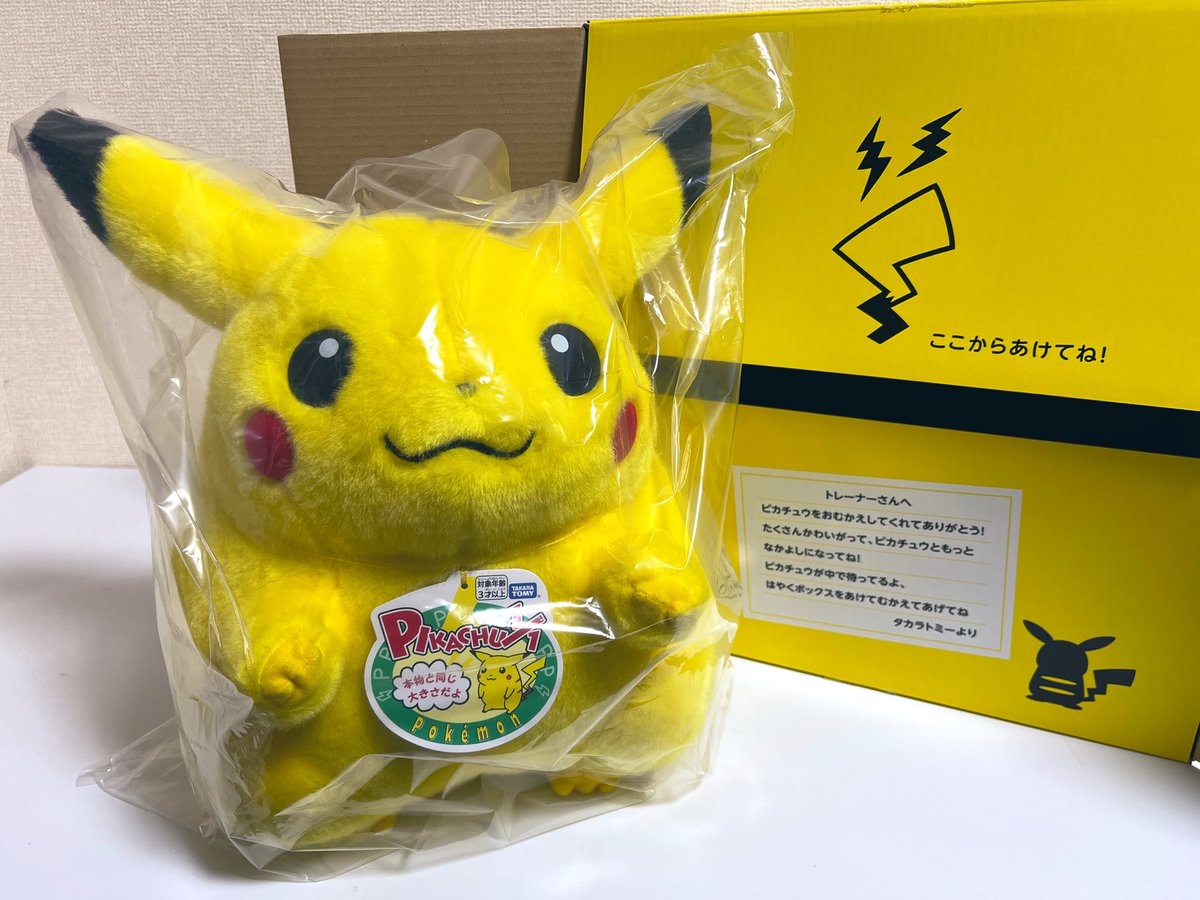 おかえり!ピカチュウ1/1』が タカラトミーモール専用BOXで来た