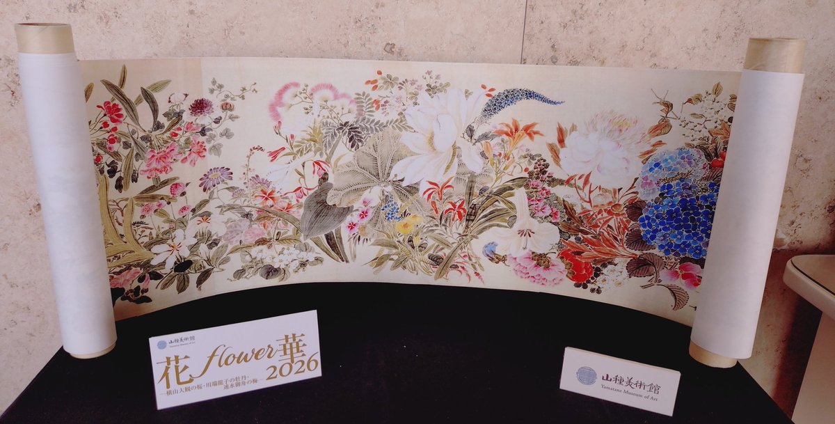 山種美術館で今日からの花flower華2026観てきました。（2枚目の速水