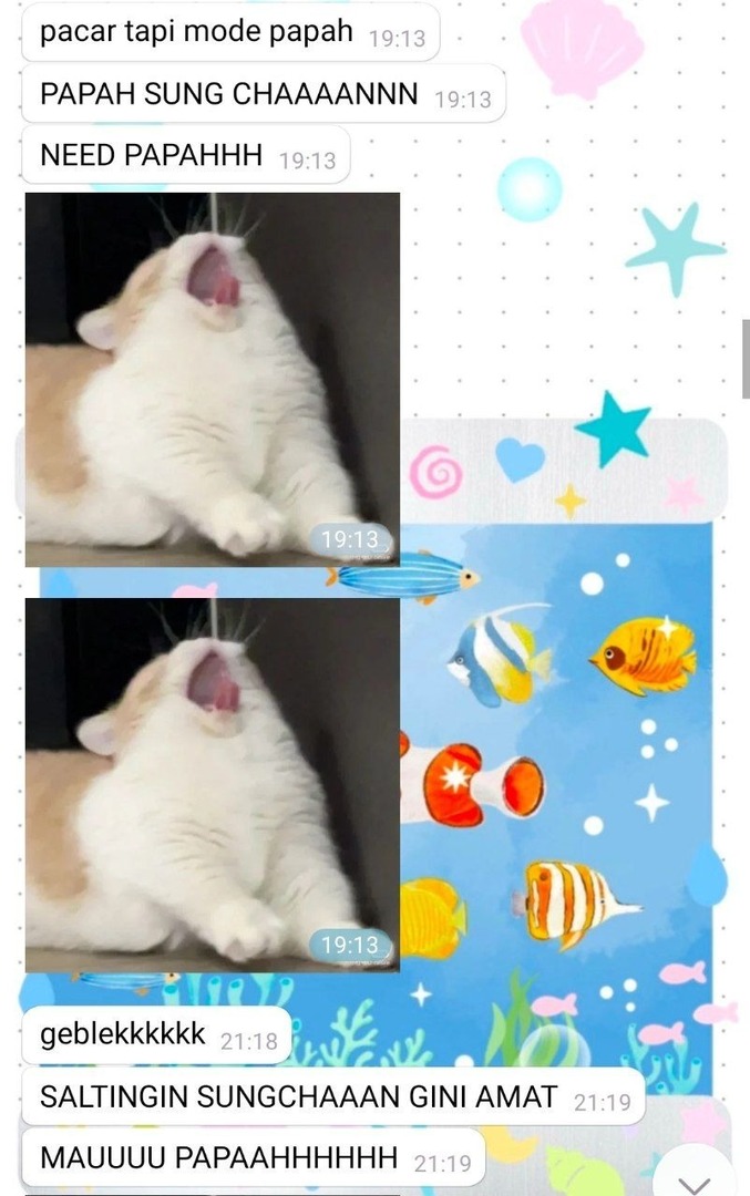 BERMUARA. tweet media