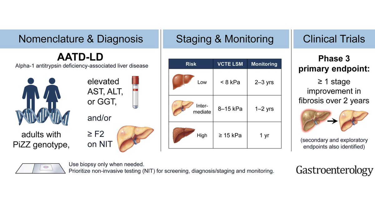 American Gastroenterological Association (AGA) tweet media