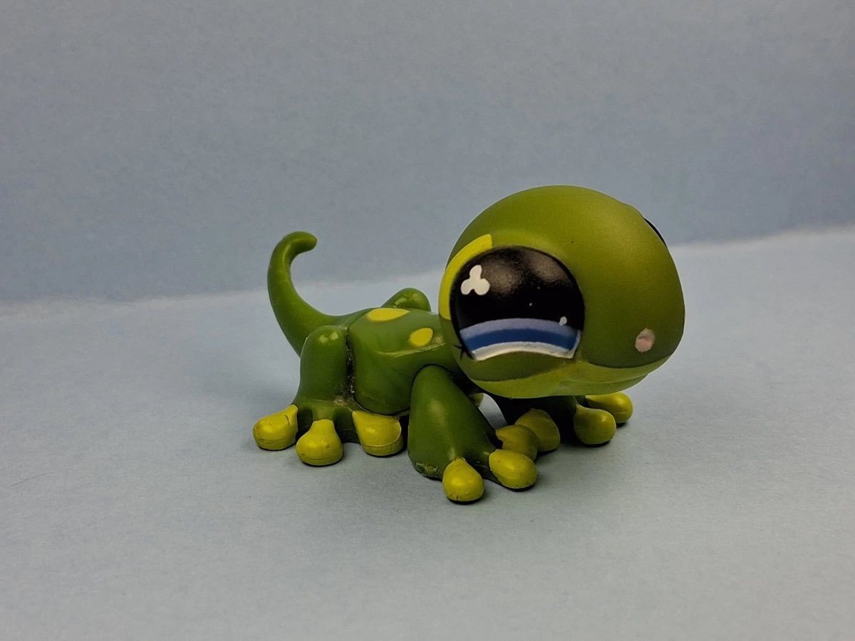 stpdimp's tweet photo. u cant tell me gecquas not a littlest pet shop https://t.co/dClk36DXPr