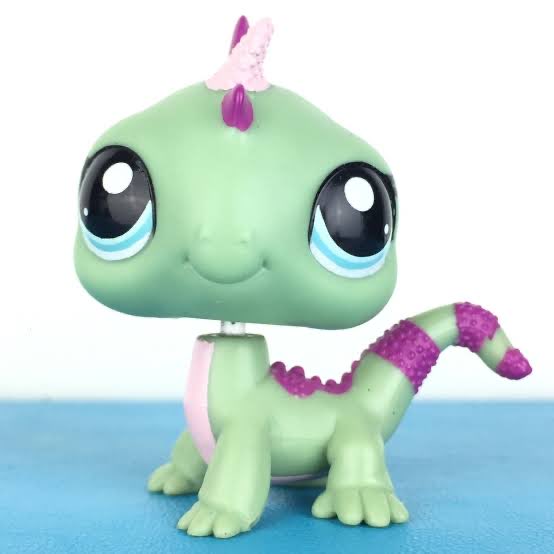 stpdimp's tweet photo. u cant tell me gecquas not a littlest pet shop https://t.co/dClk36DXPr