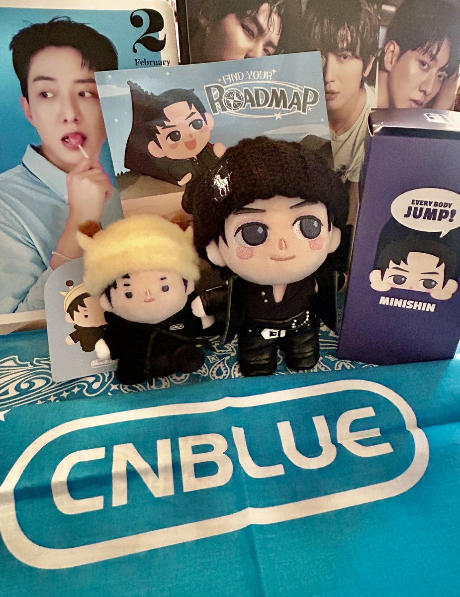 私のところにもミニシンをお迎えすることができました〜 さっそく