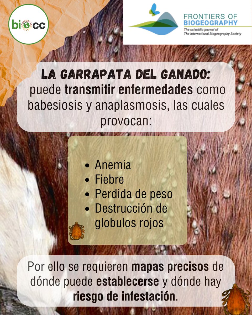 LNCBioCC tweet media