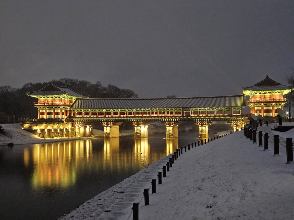 Rob - DancingRob tweet media